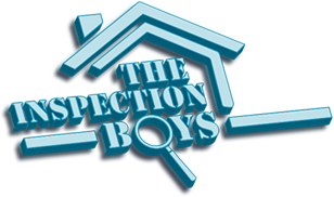 The Inspection Boys